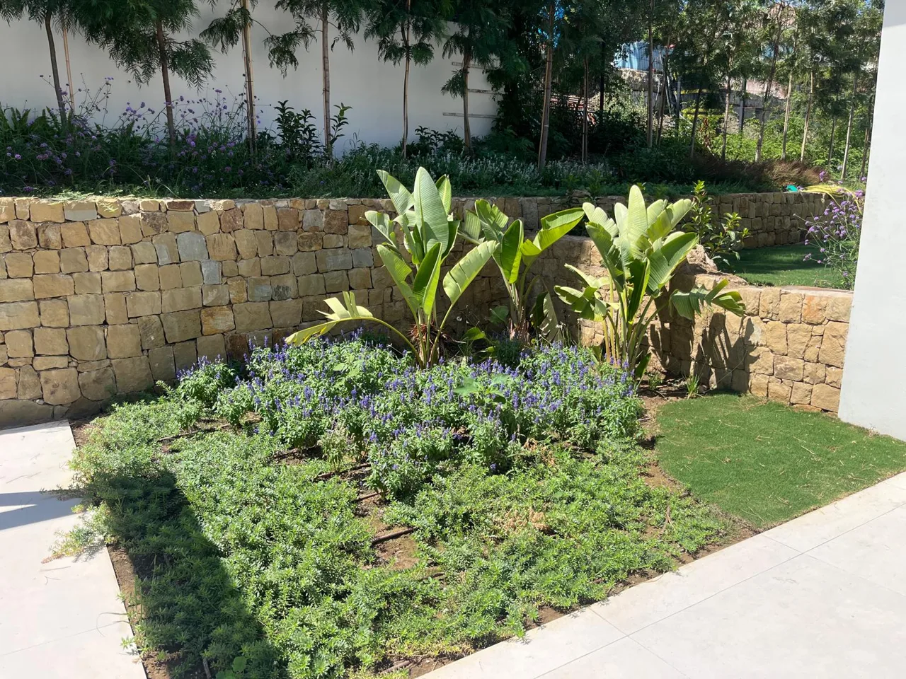 Jardín de Casa en Nueva Andalucía: vista 16 del archivo fotográfico