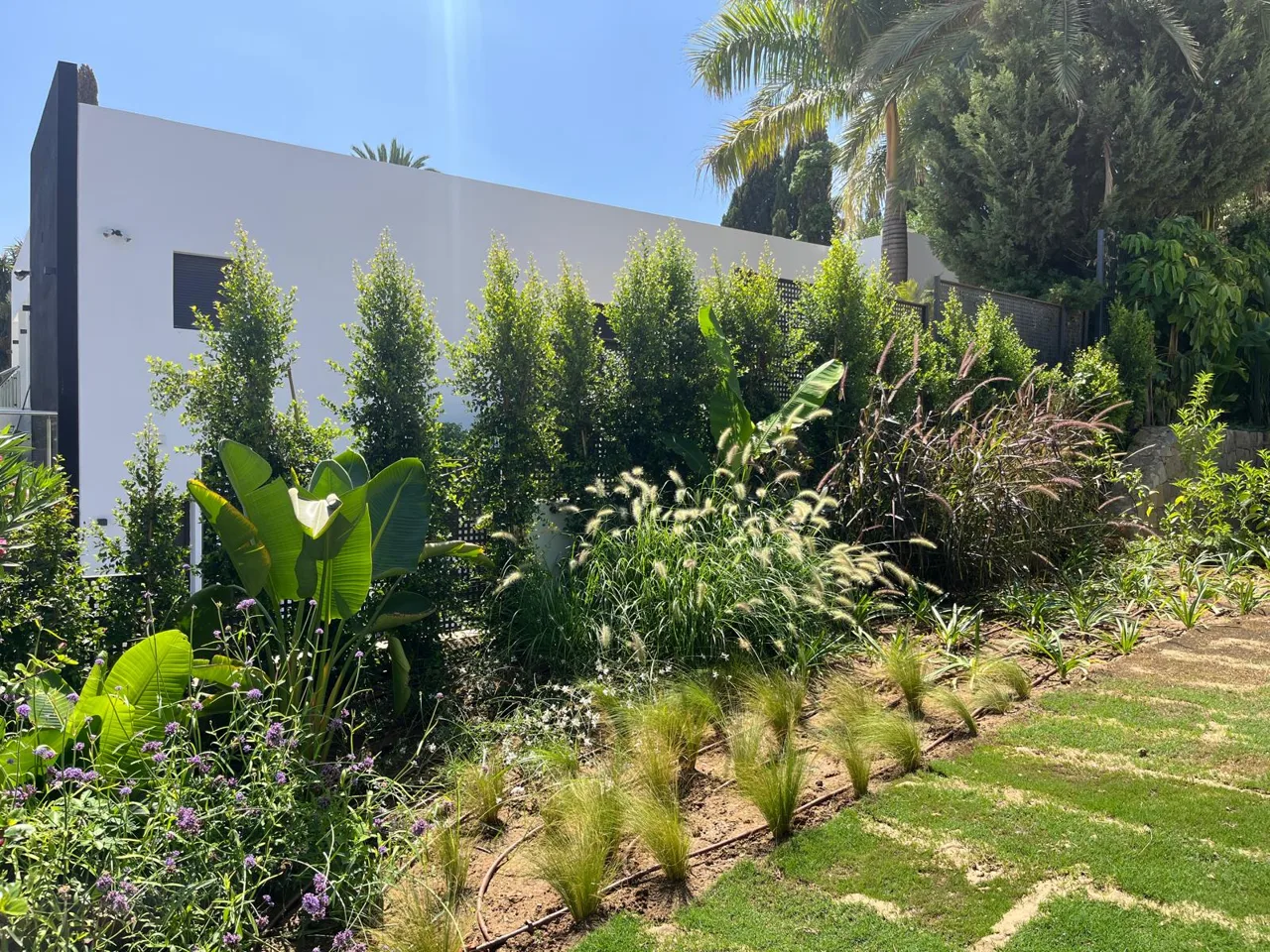 Jardín de Casa en Nueva Andalucía: vista 18 del archivo fotográfico